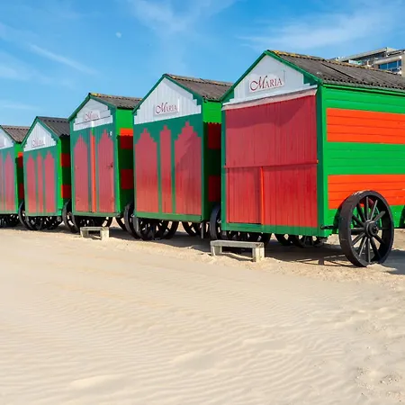 Bortier A0202 Vista * 드판