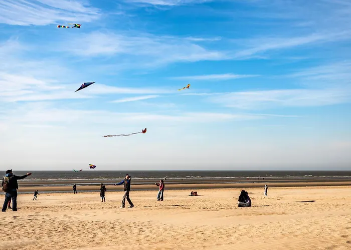 Bortier A0202 Vista * De Panne